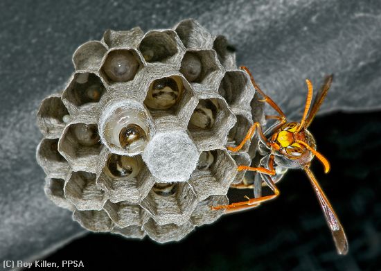 2012 Best Storytelling